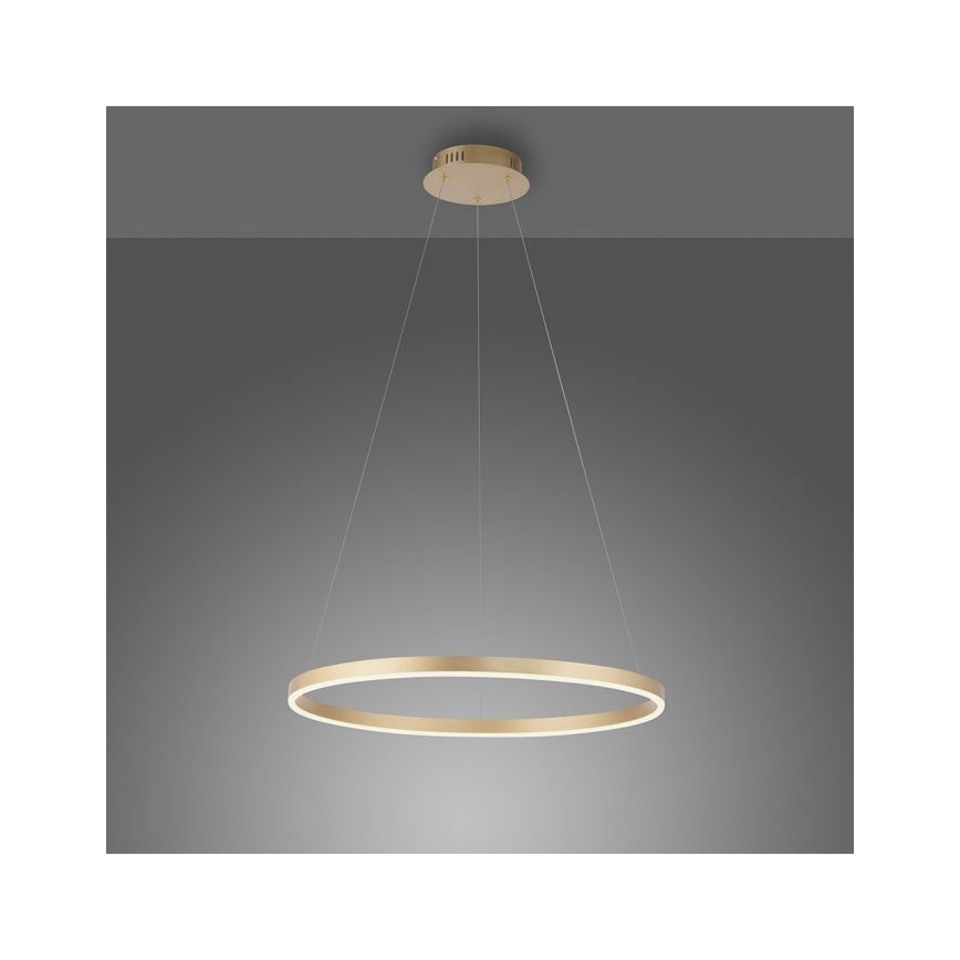 Leuchten Direkt 15394-60 - LED Aptumšojama lustra ar auklu RITUS LED/30W/230V misiņa
