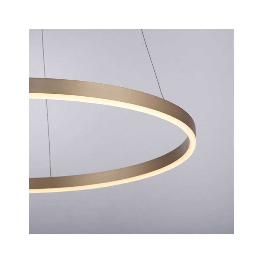 Leuchten Direkt 15394-60 - LED Aptumšojama lustra ar auklu RITUS LED/30W/230V misiņa