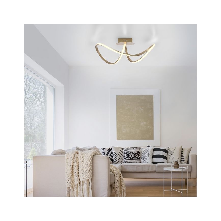 Leuchten Direkt 15403-60 - LED Aptumšojama virsapmetuma lustra MARIA LED/15,5W/230V