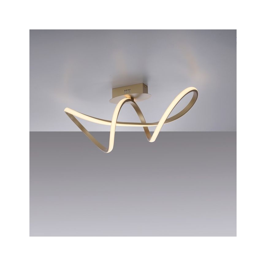 Leuchten Direkt 15403-60 - LED Aptumšojama virsapmetuma lustra MARIA LED/15,5W/230V