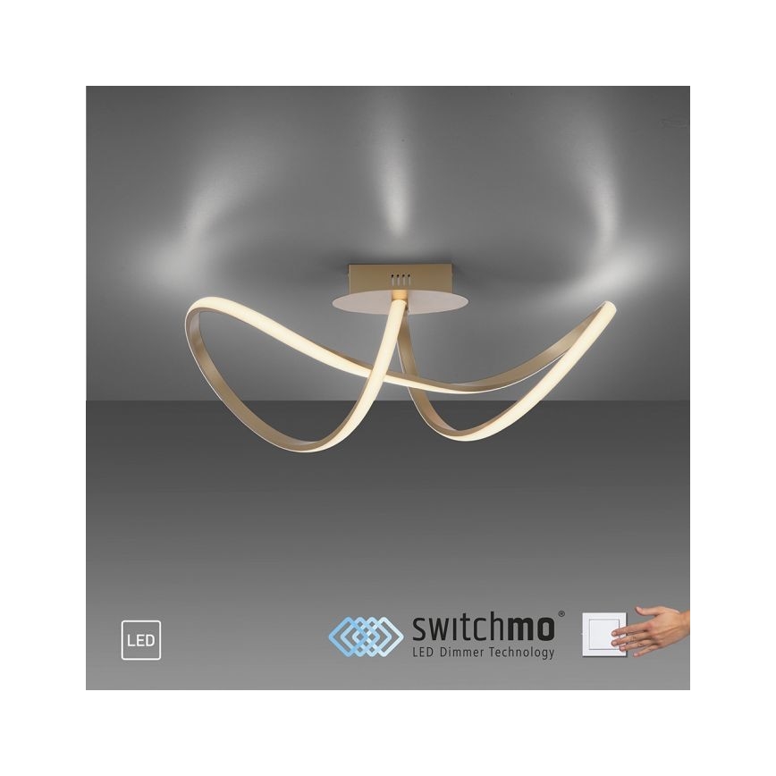 Leuchten Direkt 15403-60 - LED Aptumšojama virsapmetuma lustra MARIA LED/15,5W/230V