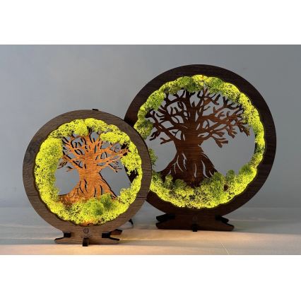 Li-Go 23604/DUB2 - Regulējama LED galda dekorācija LED/12W/230V 20x22 cm ozols/sūna un koks