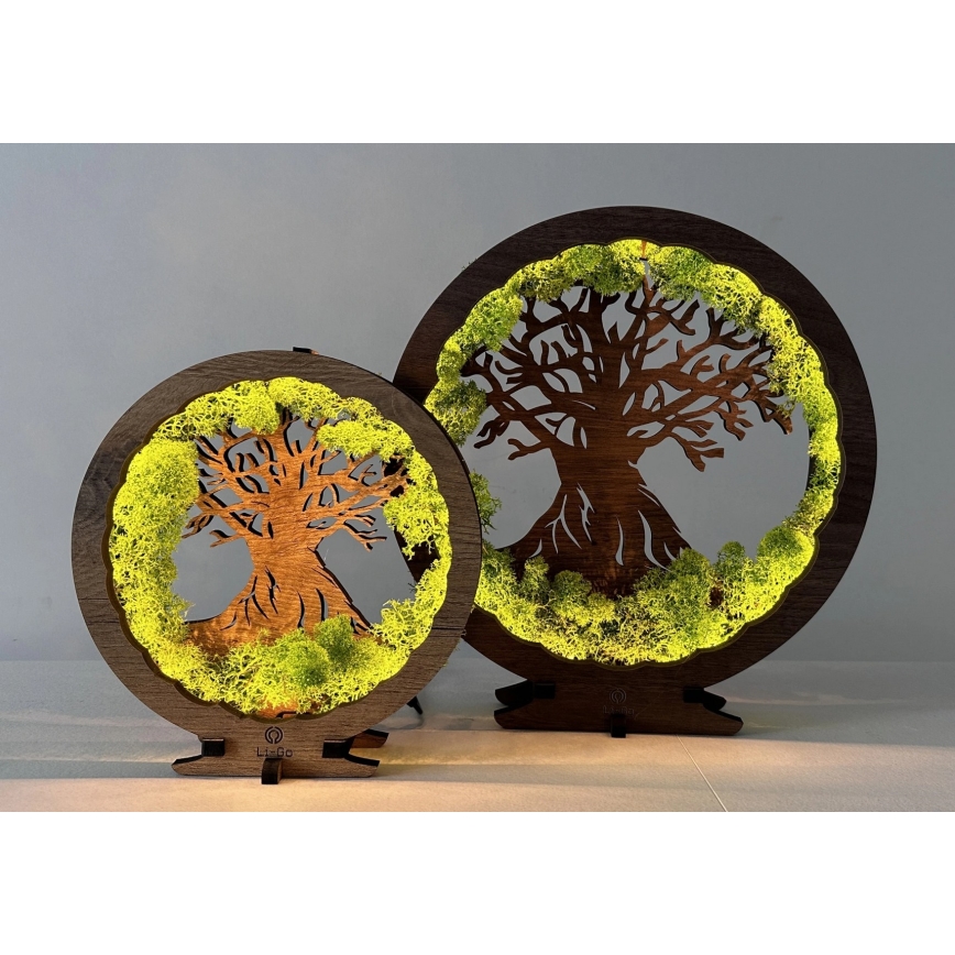 Li-Go 23604/DUB2 - Regulējama LED galda dekorācija LED/12W/230V 20x22 cm ozols/sūna un koks