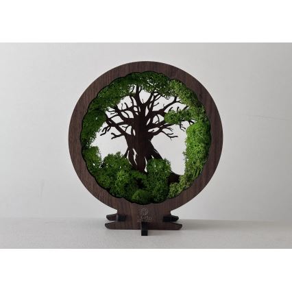 Li-Go 23604/DUB2 - Regulējama LED galda dekorācija LED/12W/230V 20x22 cm ozols/sūna un koks