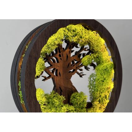 Li-Go 23604/DUB2 - Regulējama LED galda dekorācija LED/12W/230V 20x22 cm ozols/sūna un koks