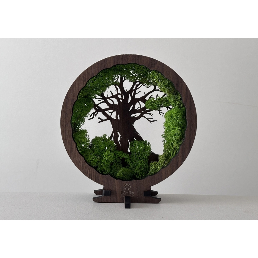 Li-Go 23604/DUB2 - LED Regulējama galda dekorācija LED/12W/230V 20x22 cm ozols/sūna un koks