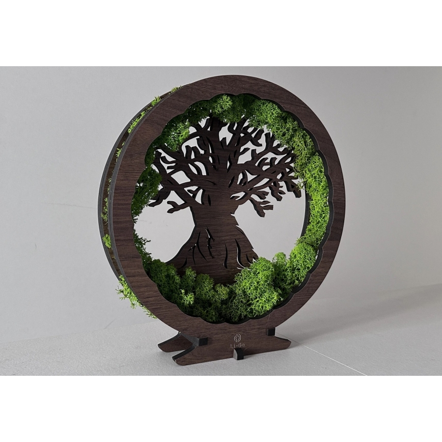 Li-Go 23604/DUB2 - LED Regulējama galda dekorācija LED/12W/230V 20x22 cm ozols/sūna un koks