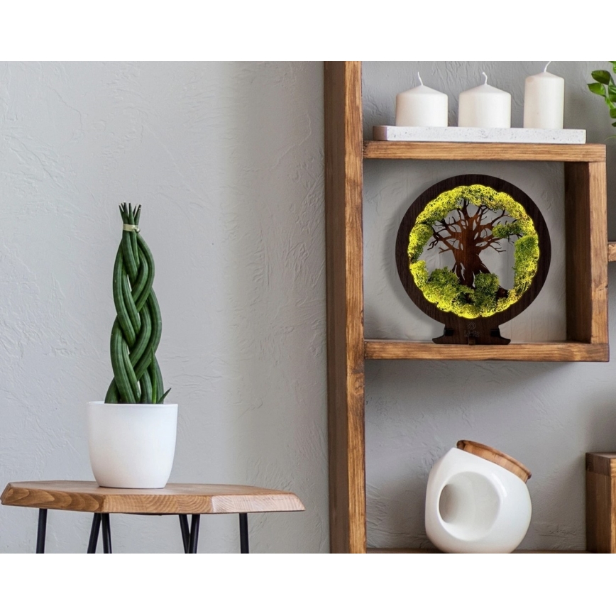 Li-Go 23631/DUB2 - LED galda dekors ar regulējamu spilgtumu LED/12W/230V 30x31 cm ozols/sūna un koks