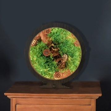 Li-Go 23654 - Dimējama LED galda dekorācija LED/12W/230V 20x22 cm valrieksts/Sūnu kompozīcija