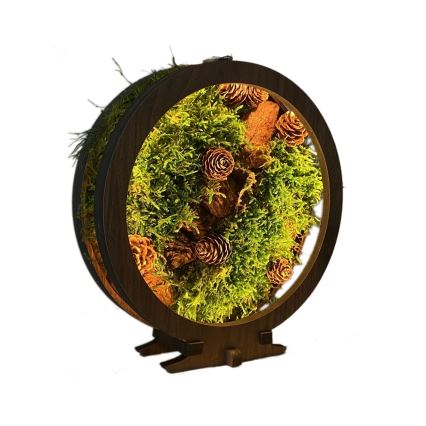 Li-Go 23654 - Dimējama LED galda dekorācija LED/12W/230V 20x22 cm valrieksts/Sūnu kompozīcija