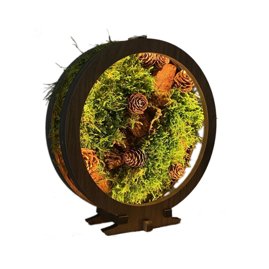 Li-Go 23654 - LED dimējama galda dekorācija LED/12W/230V 20x22 cm valrieksts/sūnu kompozīcija