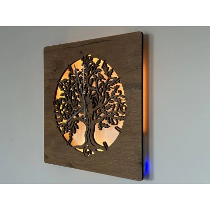 Li-Go 5652/DUB2 - LED pulkstenis ar regulējamu spilgtumu LED/10W/5V 20000 mAh 42x42 cm ozols/ozols aplī + tālvadības pults