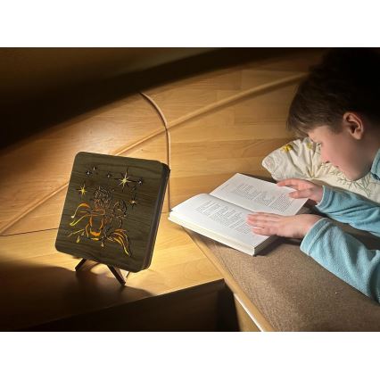 Li-Go 5788/DUB2 - LED galda dekors LED/12W/230V 19x19 cm ozols/Mazais princis