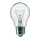 Lielas slodzes spuldze E27/60W/230V 2200K