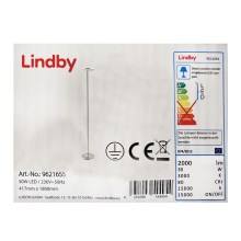 Lindby - LED Aptumšojama grīdas stāvlampa DARION LED/30W/230V