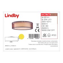 Lindby - LED Aptumšojama griestu lampa AMON 3xLED/12W/230V