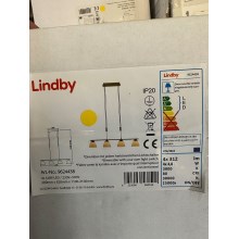 Lindby - LED Aptumšojama lustra ar auklu CERSEI 4xLED/4,8W/230V
