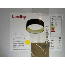 Lindby - LED Griestu lampa COLEEN LED/24W/230V