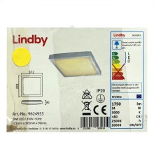 Lindby - LED Griestu lampa MARGIT LED/24W/230V