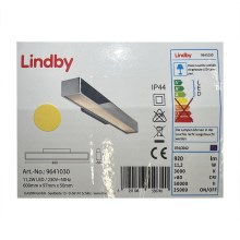 Lindby - LED Vannas istabas spoguļa apgaismojums KIANA LED/11,2W/230V IP44
