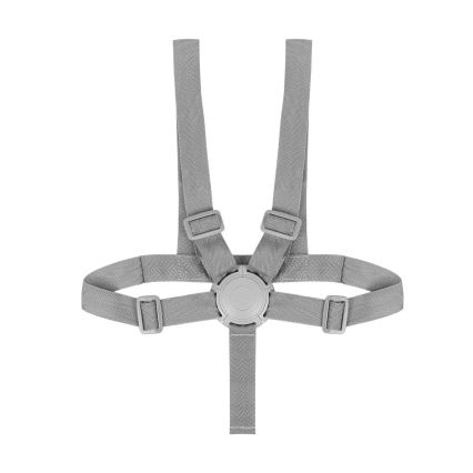 Lionelo - Bērnu ēdamkrēsls 4 vienā DALIA SET Grey Stone Natural