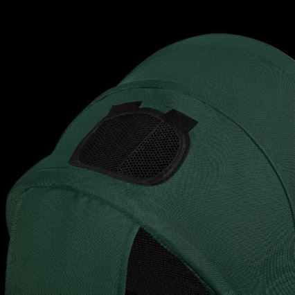 Lionelo - HAARI bērnu trīsritenis, zaļš/melns