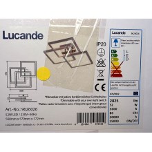 Lucande - LED Aptumšojama griestu lampa AVILARA LED/52W/230V