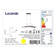 Lucande - LED Aptumšojama lustra ar auklu MARIJA LED/22W/230V