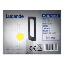 Lucande - LED Āra lampa FENTI LED/12W/230V IP65
