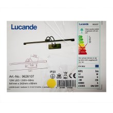 Lucande - LED Attēla lampa DIMITRIJ LED/12W/230V