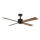 Lucci air 213170 - LED Griestu ventilators NEWPORT venge/brūna + tālvadības pults