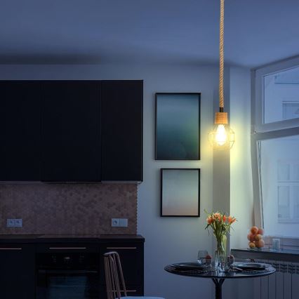 Lustra ar auklu 1xE27/60W/230V d. 15 cm