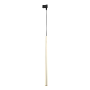 Lustra ar auklu 3 fāžu sliežu sistēmai PIANO 1xG9/8W/230V zelta/melna