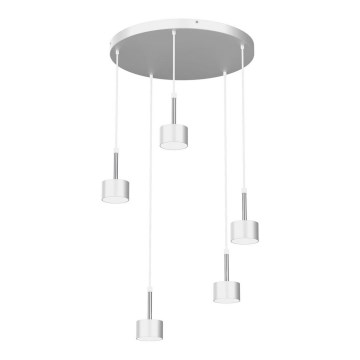 Lustra ar auklu ARENA 5xGX53/11W/230V balta/spīdīgi hromēts