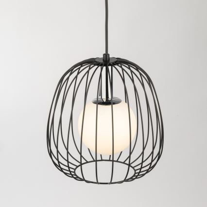 Lustra ar auklu BELL 1xG9/12W/230V d. 24 cm melna/spīdīgi hromēts