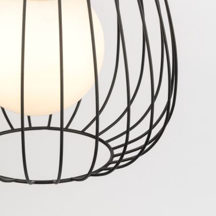 Lustra ar auklu BELL 1xG9/12W/230V d. 24 cm melna/spīdīgi hromēts