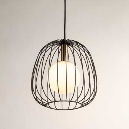 Lustra ar auklu BELL 1xG9/12W/230V d. 24 cm melna/zelta