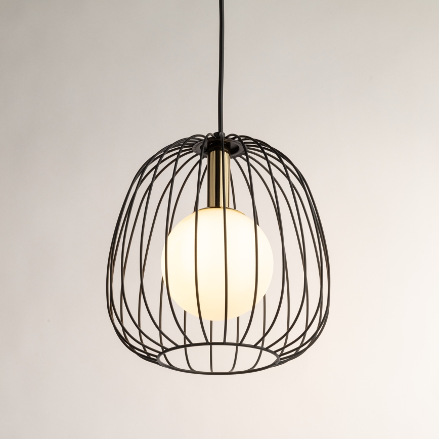 Lustra ar auklu BELL 1xG9/12W/230V d. 24 cm melna/zelta
