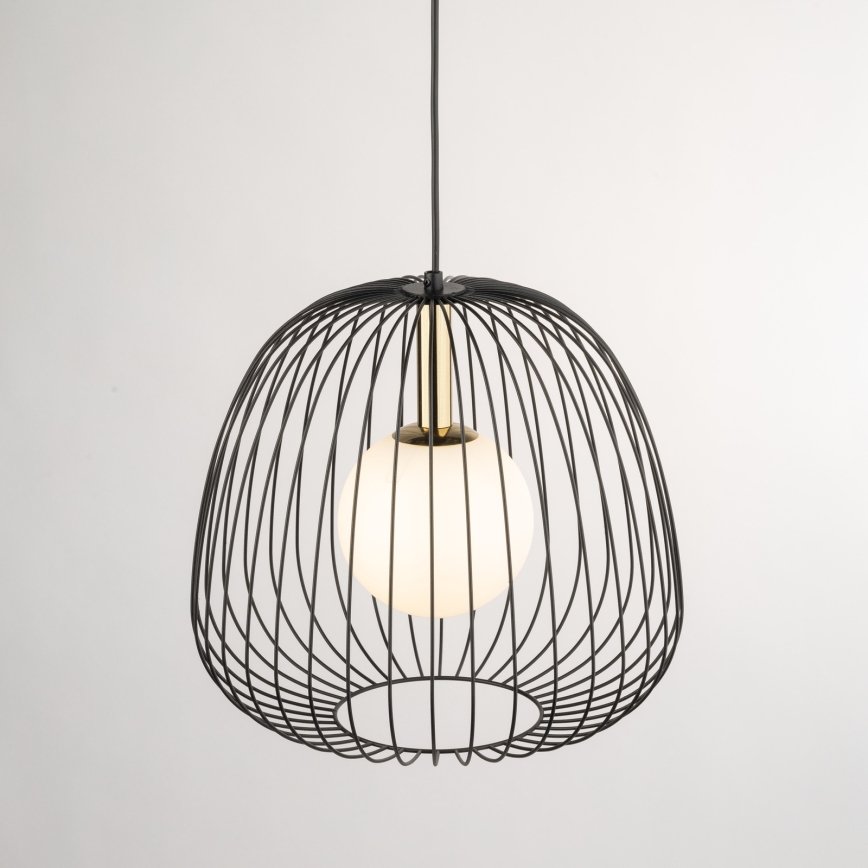 Lustra ar auklu BELL 1xG9/12W/230V d. 33 cm melna/zelta