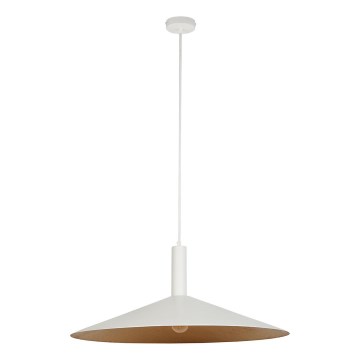Lustra ar auklu CAPRI 1xE27/15W/230V d. 70 cm balta/varš