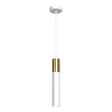 Lustra ar auklu CASSA 1xGU10/8W/230V balta/zeltaina