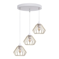 Lustra ar auklu CEED GOLD 3xE27/60W/230V d. 45 cm balta/zelta