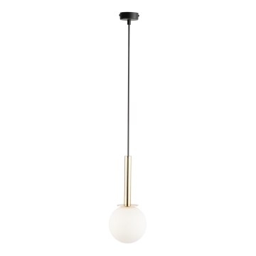 Lustra ar auklu DAISY 1xG9/12W/230V d. 14 cm zelta/melna/balta