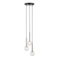 Lustra ar auklu DAISY 3xG9/12W/230V d. 27 cm spīdīgi hromēts/melna/caurspīdīga