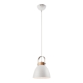 Lustra ar auklu DANIELLE 1xE27/60W/230V