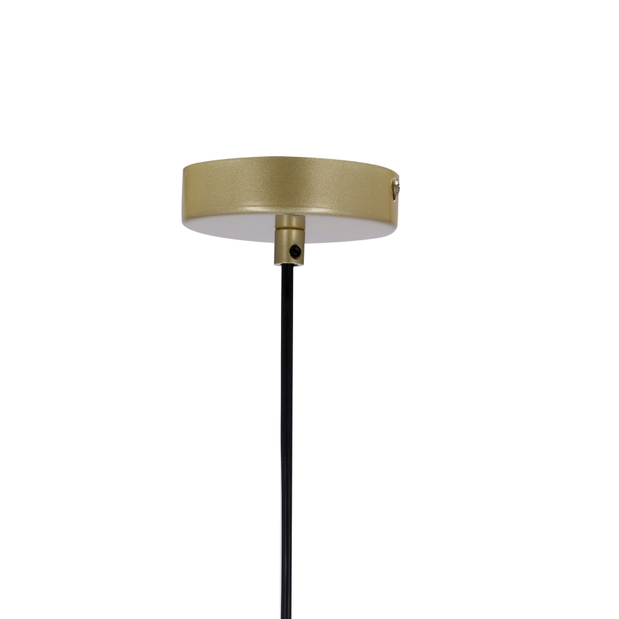 Lustra ar auklu DUO 2xE14/40W/230V zeltaina/melna