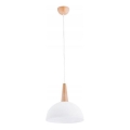 Lustra ar auklu FOTYN 1xE27/15W/230V brūna