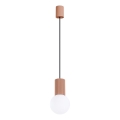 Lustra ar auklu HALO 1xG9/8W/230V d. 12 cm brūna