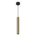Lustra ar auklu LUNGOMARE 1xGU10/10W/230V zelta