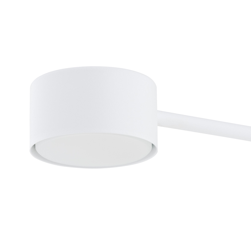 Lustra ar auklu MODUS 4xGX53/10W/230V balta